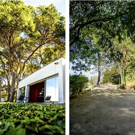 Maison Mediterraneenne Dans Les Pins, Mont Saint Clair بيت للعطل سُت